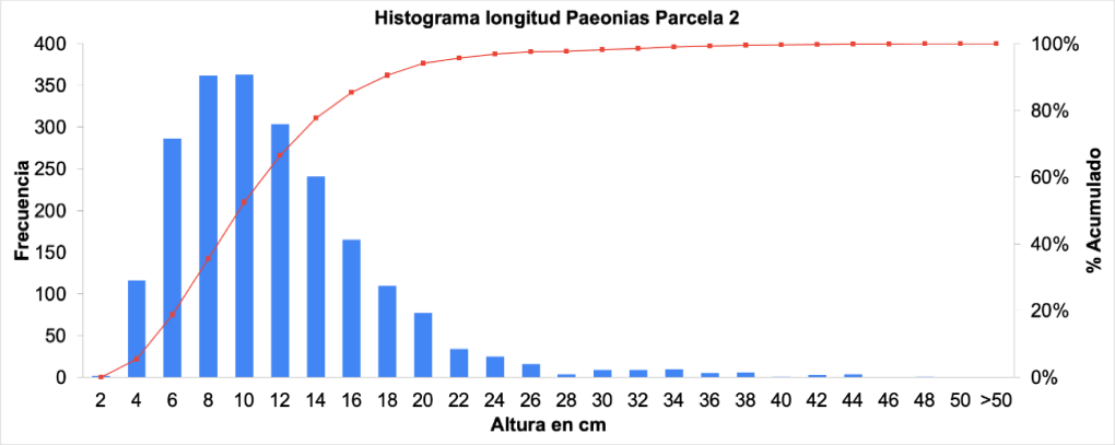 Grafica