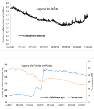 Grafica