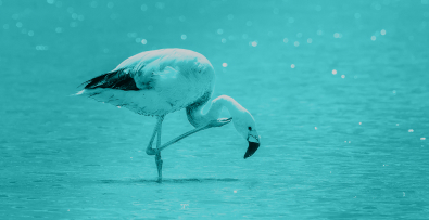 Memoria de la Biodiversidad en Andalucía