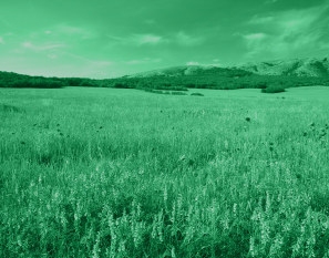 Memoria de la Biodiversidad en Andalucía