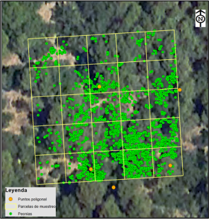 UAV